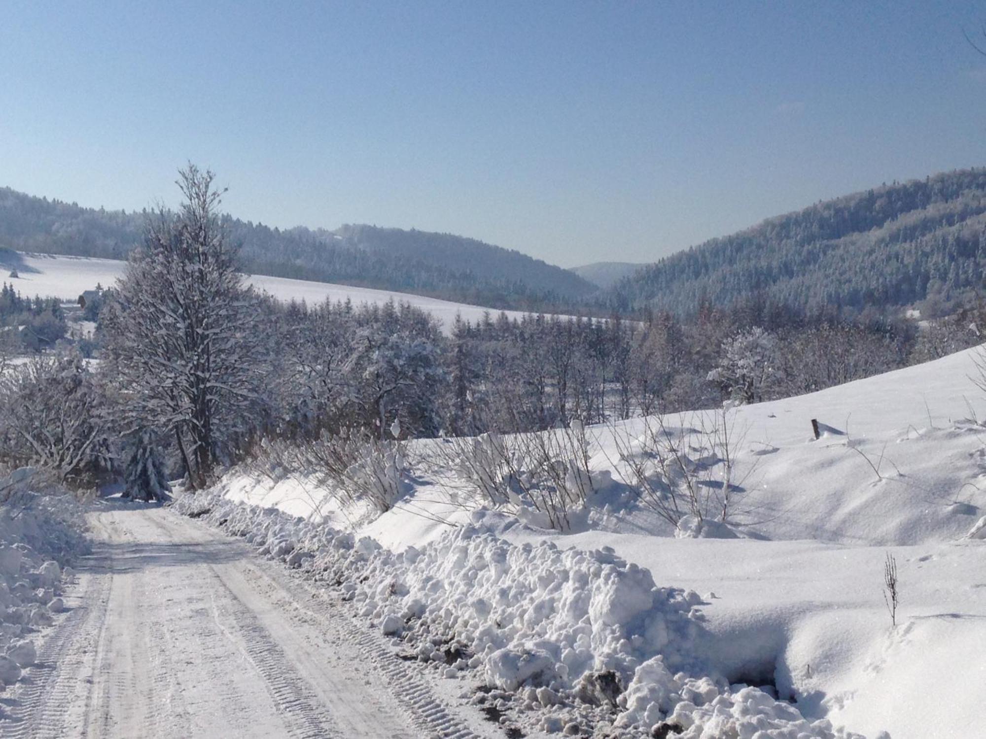 Domki Pod Kiczera W Baligrodzie, Bieszczady Exterior foto